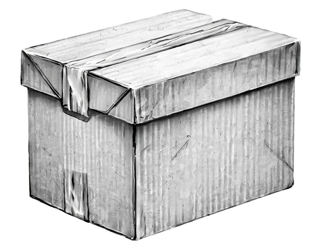 Wir haben in Fülle: Kartons, Kleiderboxen und Verpackungsmaterial