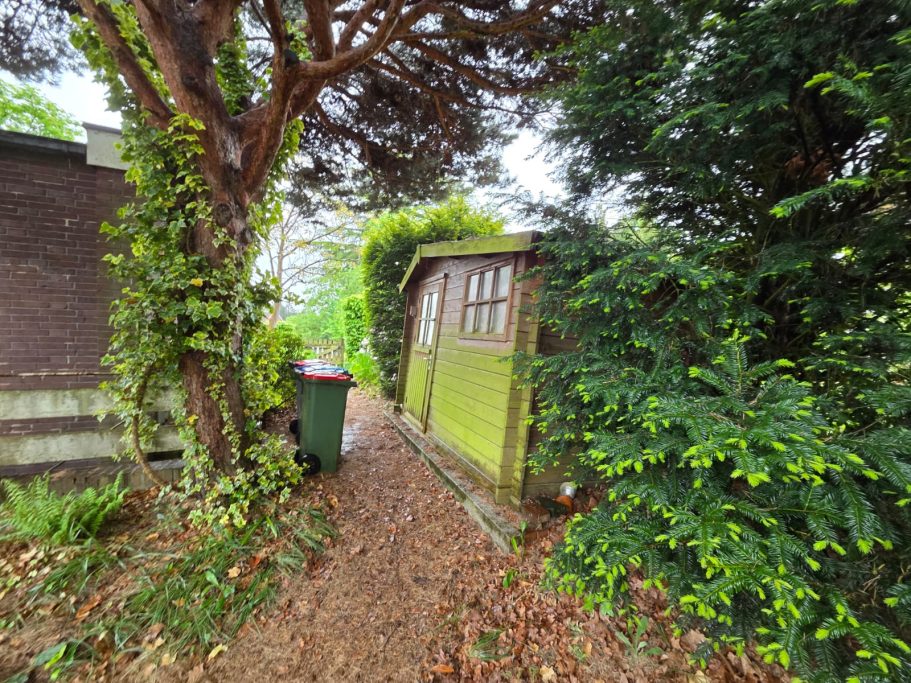 VORHER: Garten mit Gartenhaus und Weg Vorher: Garten mit Gartenhaus und Weg voller Laub und vermoost.